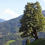 Apartment In Near Slopes