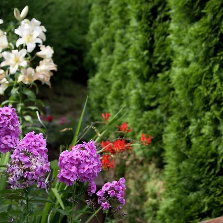 In Near Slopes * Wagrain