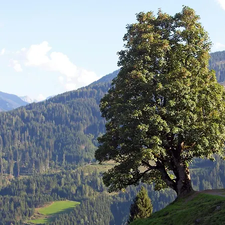 Appartement In Near Slopes