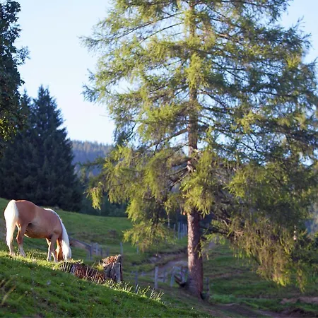 In Near Slopes Apartment Wagrain