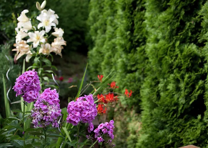 In Near Slopes * Wagrain