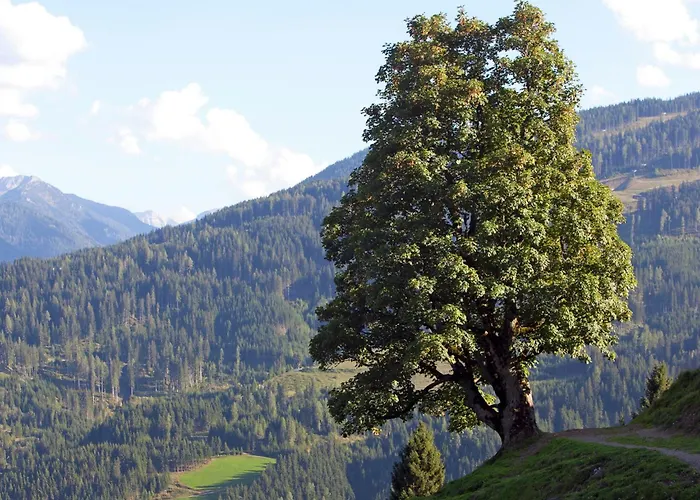 Apartman In Near Slopes