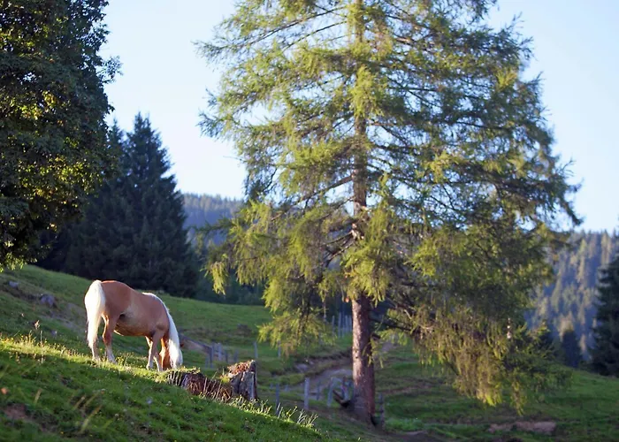 In Near Slopes Apartman Wagrain
